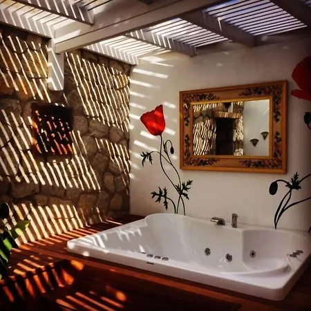 Hotel Asina 3*