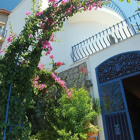 Asina Hotel