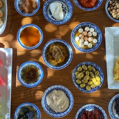 酒店 达特恰阿辛纳别墅酒店 达特恰