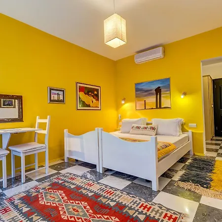 达特恰阿辛纳别墅酒店 酒店 3*