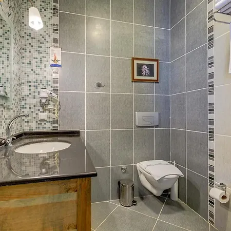 Asina Hotel 3*
