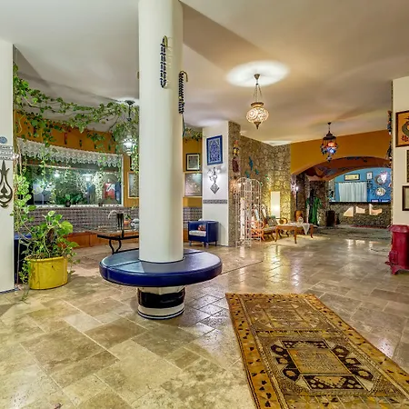 达特恰阿辛纳别墅酒店 酒店