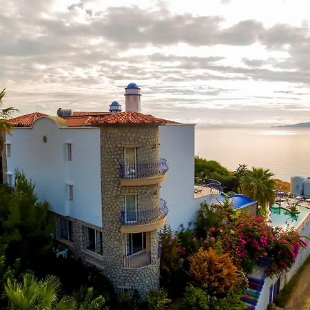 达特恰阿辛纳别墅酒店 3*