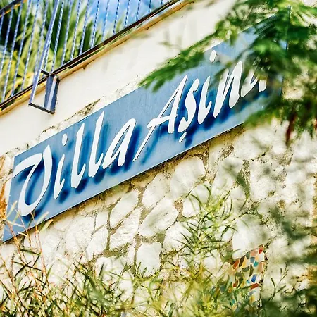 达特恰阿辛纳别墅酒店