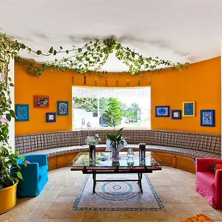 达特恰阿辛纳别墅酒店 酒店