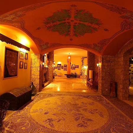 达特恰阿辛纳别墅酒店 酒店