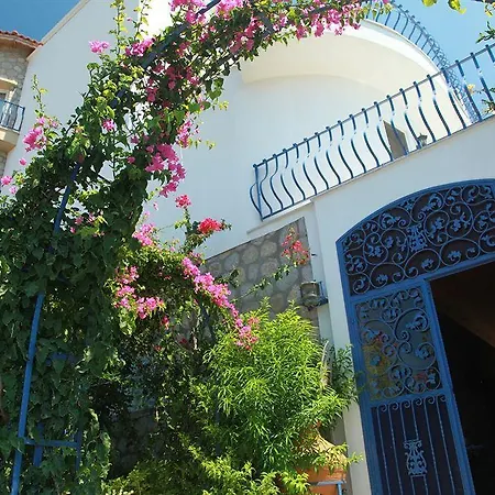 Asina Hotel