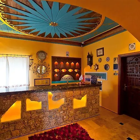 达特恰阿辛纳别墅酒店 酒店 3*