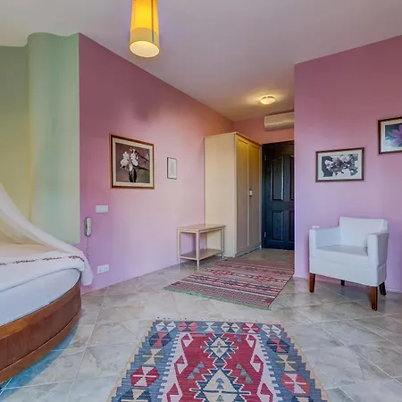 达特恰阿辛纳别墅酒店 达特恰