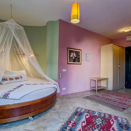 达特恰阿辛纳别墅酒店