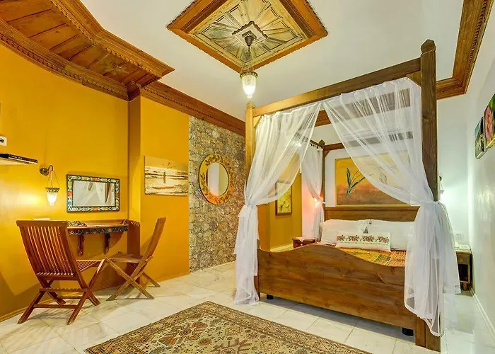 Hotell Asina 3*